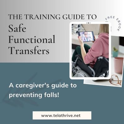 functional transfer training